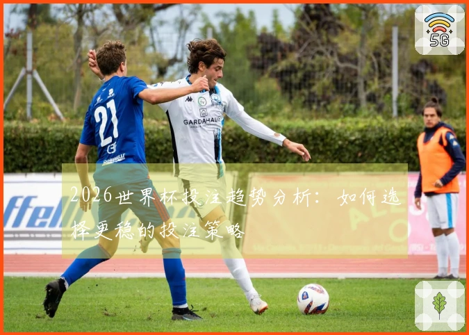 2026世界杯投注趋势分析：如何选择更稳的投注策略