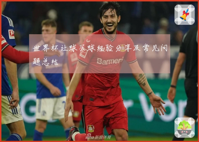世界杯让球买球经验分享及常见问题总结
