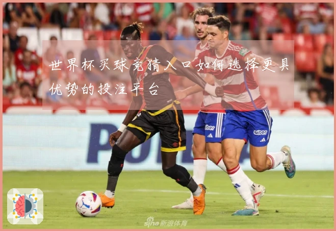世界杯买球竞猜入口如何选择更具优势的投注平台